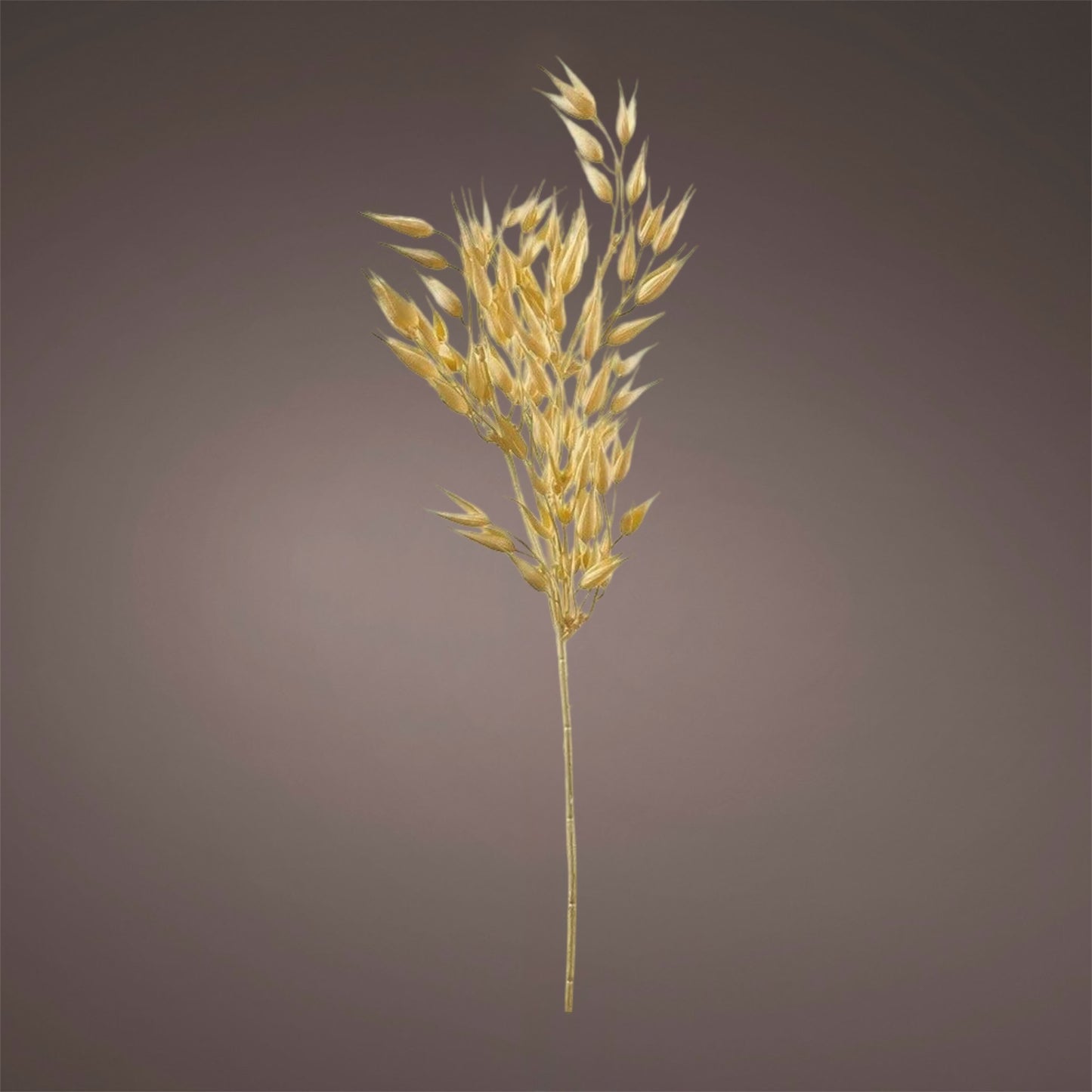 Florissima - Kunstpflanze "Hafer" Bündel