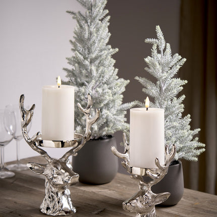 Florissima - Tannenbaum im Topf "Frost" 43cm