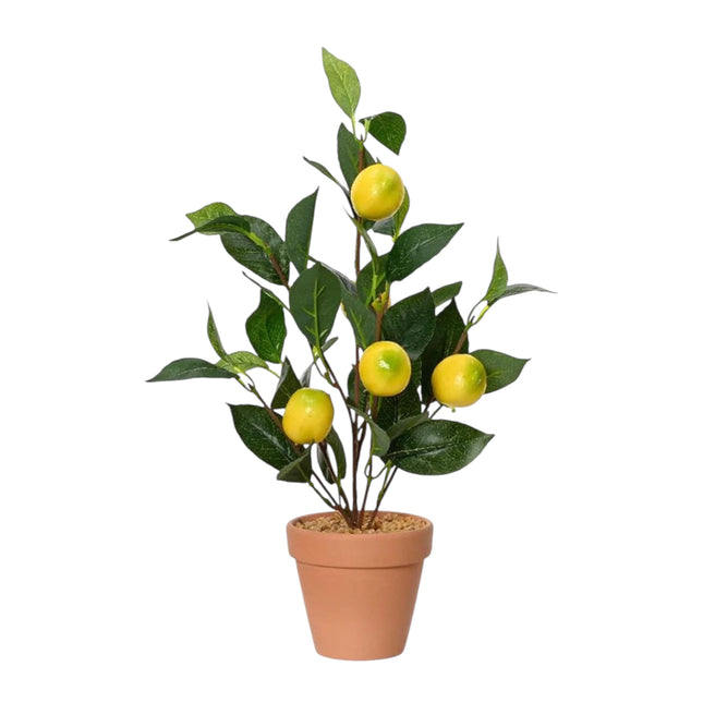 Decoris - Zitronenbaum in Terracotta Topf 45cm