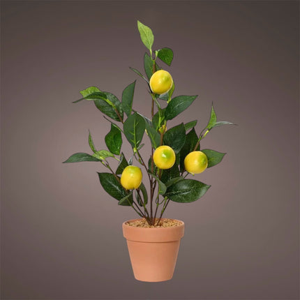 Decoris - Zitronenbaum in Terracotta Topf 45cm