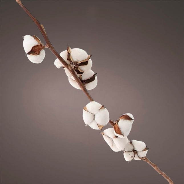 HBX - Baumwollblüten Zweig natural 87cm