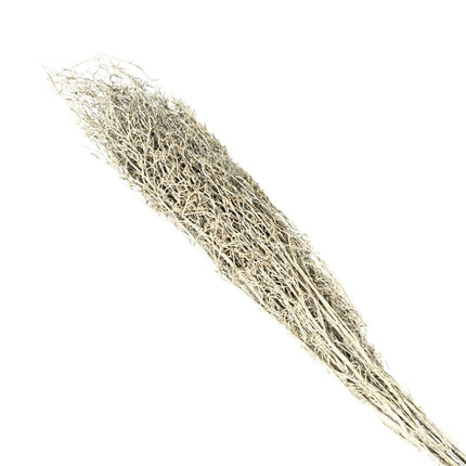 HBX - Bündel getrocknetes Chili-Gras weiß 85-95 cm